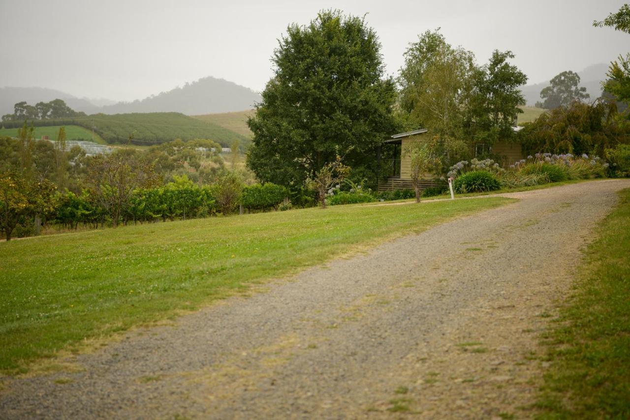 Borrodell Vineyard Otel Orange Dış mekan fotoğraf